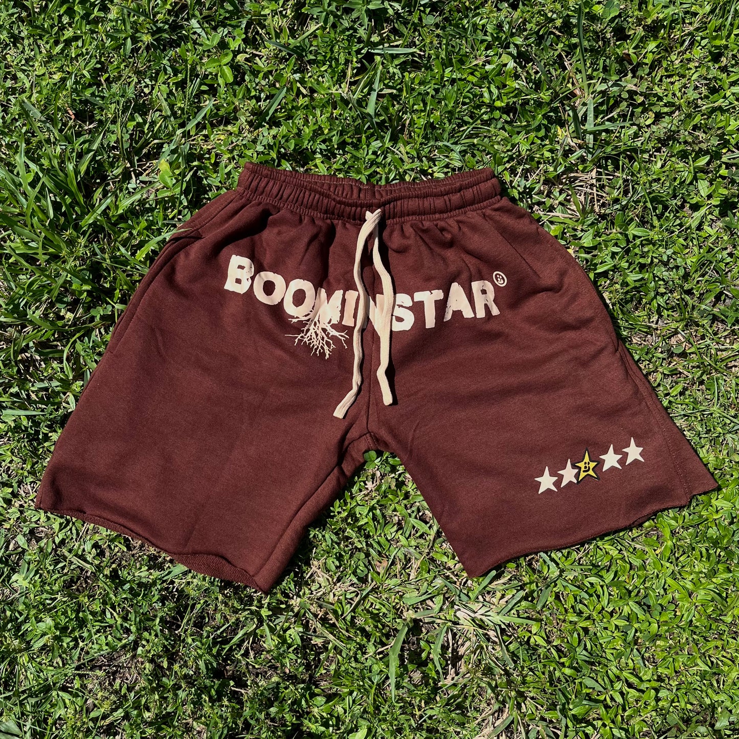 "B-STAR" Distressed Shorts